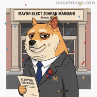 Happy Congratulations GIF by Doge Pound