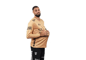 Handball Harbaoui Sticker by USDK