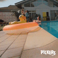 Fun Pool GIF by McCain