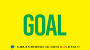 Goal Norwich GIF by MolaTV