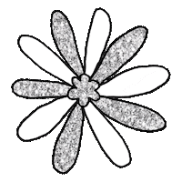 Art Spinning Sticker by Nicole Miller