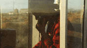Country Music Nashville GIF by Shaboozey