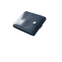 Money Wallet Sticker by Erste Bank und Sparkasse