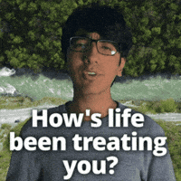 Life Living GIF