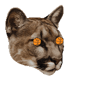 Surprised Mountain Lion Sticker by PUMA