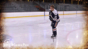 happy ice hockey GIF by Robert Morris University Athletics