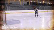 happy ice hockey GIF by Robert Morris University Athletics