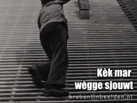 Brabant Klussen GIF by BrabantinBeelden