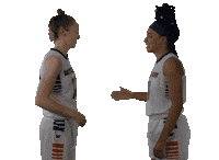 Basketball Sticker by WCSU