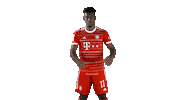 Football Love Sticker by FC Bayern Munich