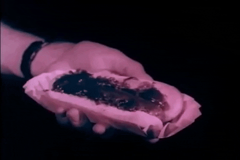 scottok giphygifmaker hot dog drive-in intermission GIF