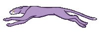 Panther Sticker