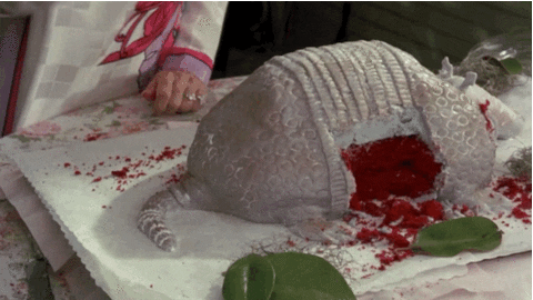 armadillo GIF