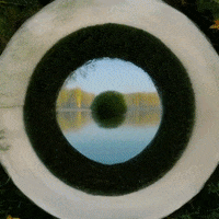 Animation Loop GIF