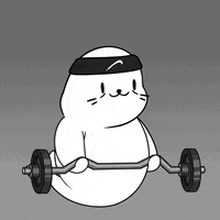 1234 GIF by Sappy Seals Community