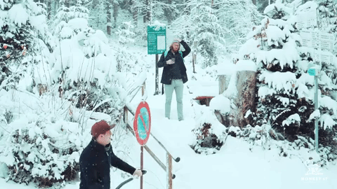 Shut Up GIF by Cityguys.nl
