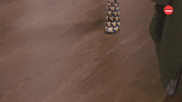 Sneaking Around
