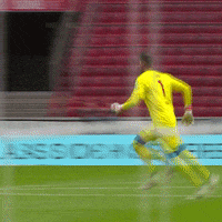1 Fc Cologne Football GIF by 1. FC Köln