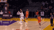 Nba Playoffs Sport GIF by NBA