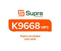 Milho Supra Sticker by Supra Sementes
