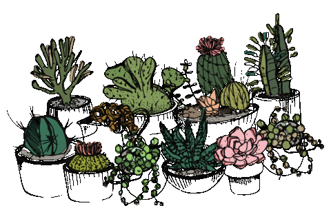 Pollenfloralworks giphyupload plants floral pollen Sticker