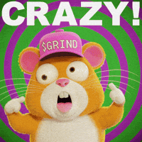Mad Hamster GIF by Grind