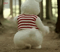 rabbit GIF