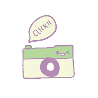 rumarinestudio camera click fotografia camara Sticker