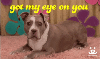 best friends love GIF by Best Friends Animal Society