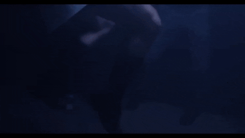 trance dancing GIF by Polyvinyl Records