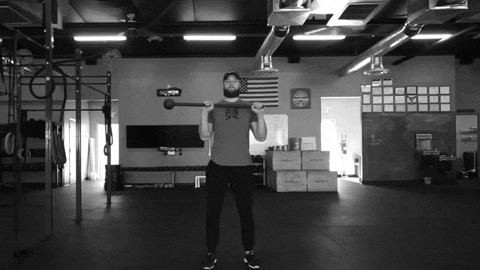 setforset giphygifmaker GIF