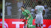 Football Celebrate GIF by CAF