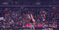 The Elite Wrestling GIF by AEWonTV