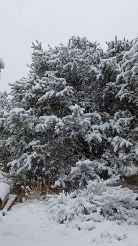 'Big, Wet, Lumpy Snow' Falls East of Albuquerque