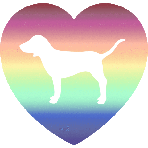 Gay Pride Rainbow Sticker by Victoria's Secret PINK