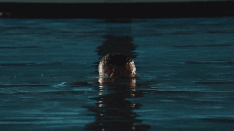 Laugh Now Cry Later Baby GIF by A3 VENTURES