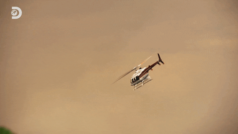 GIF by Discovery Europe