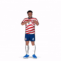 World Cup Football GIF by Panini America