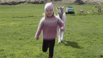 Horse Friendship GIF