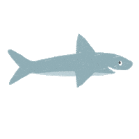 Shark Sticker by Little Planet