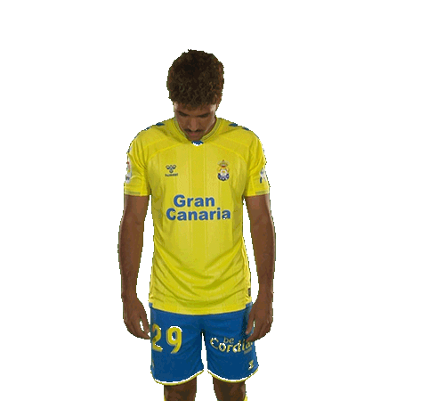 Gran Canaria Coco Sticker by UD Las Palmas