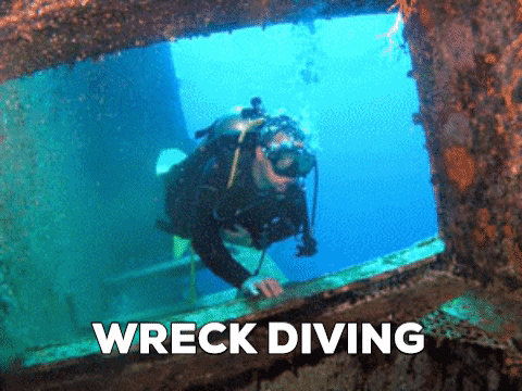 dalisakademisi giphygifmaker diving scuba wreck GIF