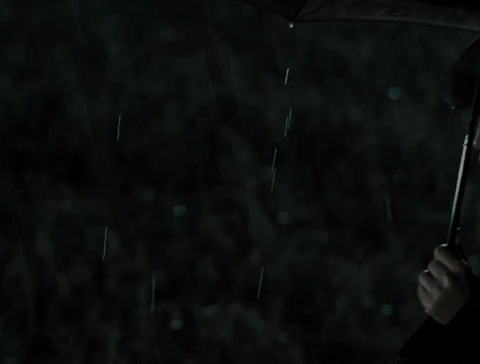 Walking In Rain
