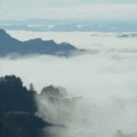 English Flag GIF by TeaCosyFolk