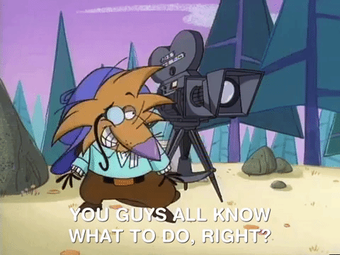 nickrewind giphydvr nicksplat angry beavers giphyab017 GIF