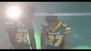 North Dakota State Bison GIF by NDSU Athletics