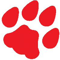 wildcats Sticker by University of Arizona Alumni Association