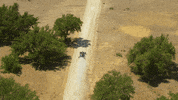 formula 1 usa GIF by Red Bull Racing