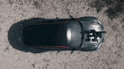 Apex Predator GIF by FullMag