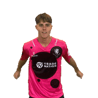Celebration Ball Sticker by Somerset County Cricket Club